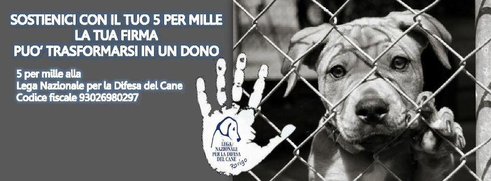 5x1000 Lega del Cane Sezione di Rovigo.jpg