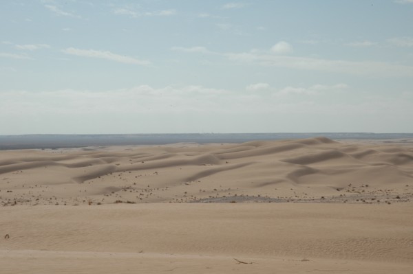 Immagine 406.jpg