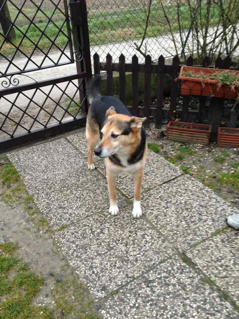 ImageUploadedByTapatalk1359844217.762871.jpg