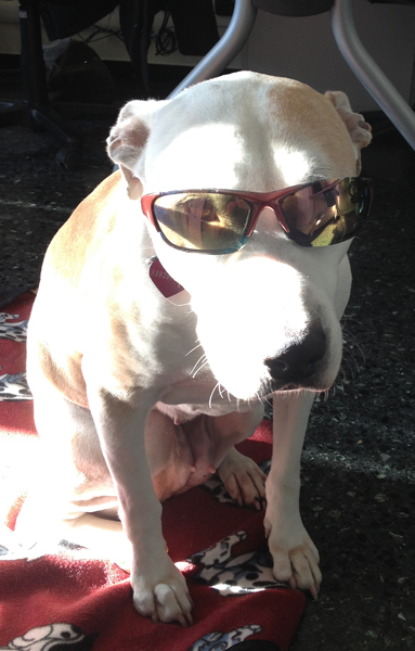 Phoebesun.jpg