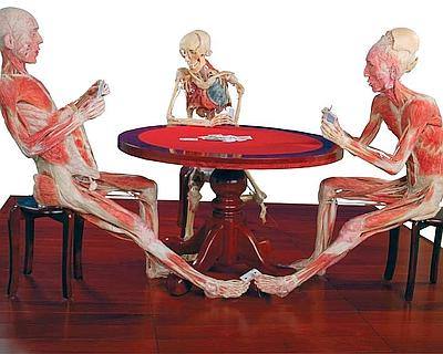 body-worlds-0_14634--400x320.jpg