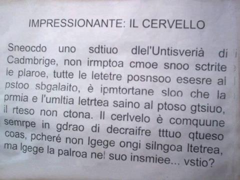 cervello.jpg