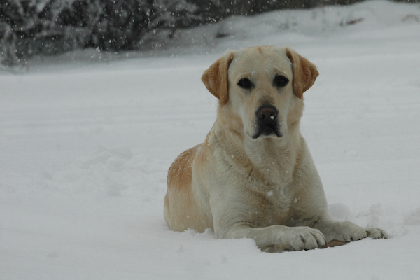 DSC_0099.jpg