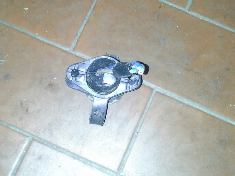 verro4.jpg