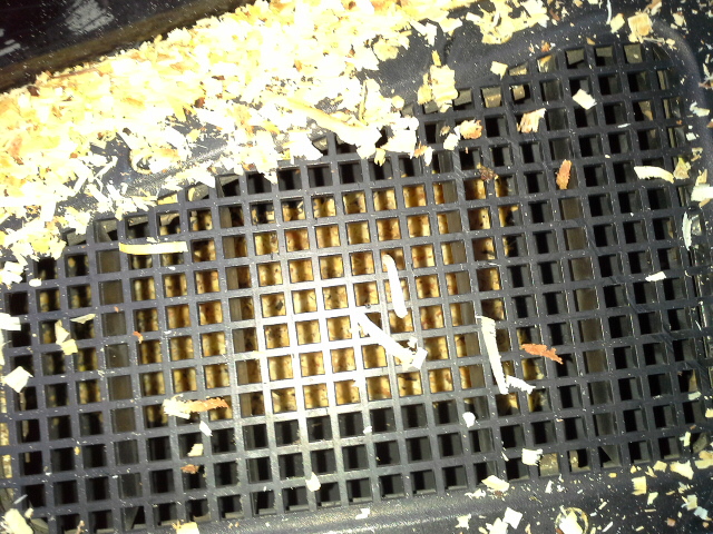 20131116_113034.jpg
