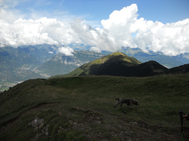 117.JPG