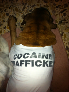 ImageUploadedByTapatalk1398710799.130317.jpg