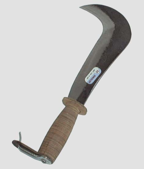 roncola.jpg