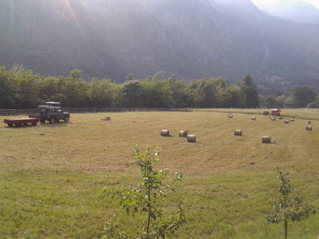 IMG-20140607-WA0005.jpg