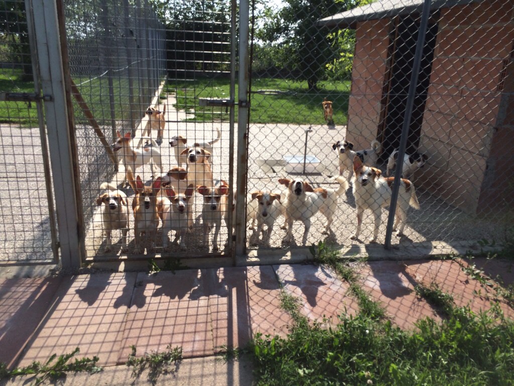 ImageUploadedByTapatalk1407992358.064833.jpg