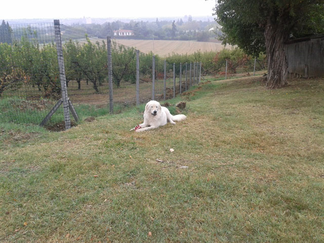 20140823_1347311.jpg