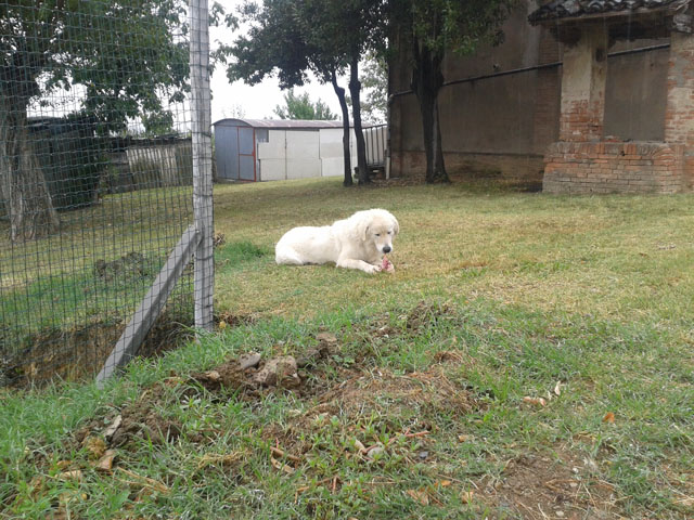 20140823_1347511.jpg