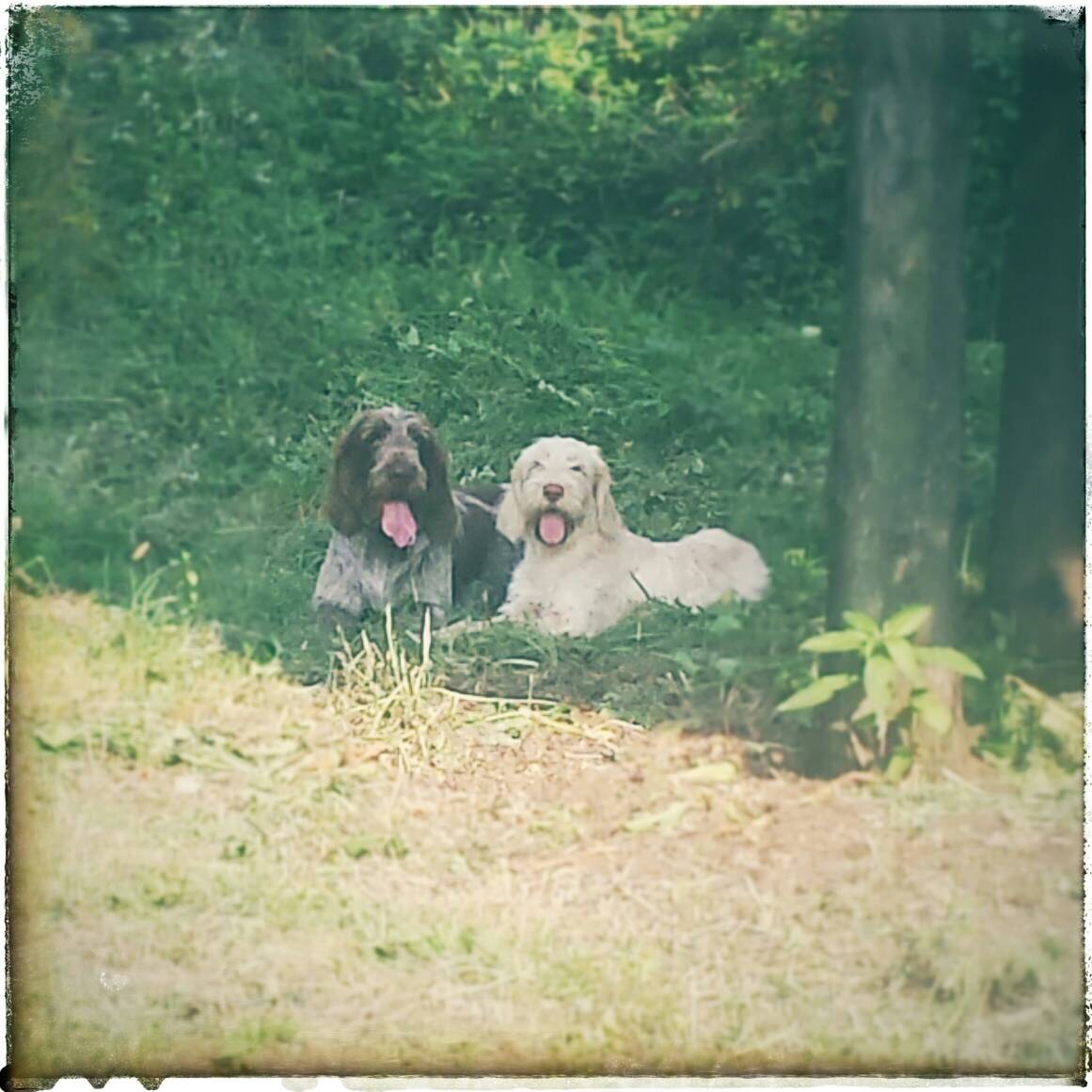 uploadfromtaptalk1410721100330.jpg