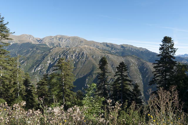 27e28sett2014-8.jpg