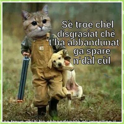 gattocane.jpg