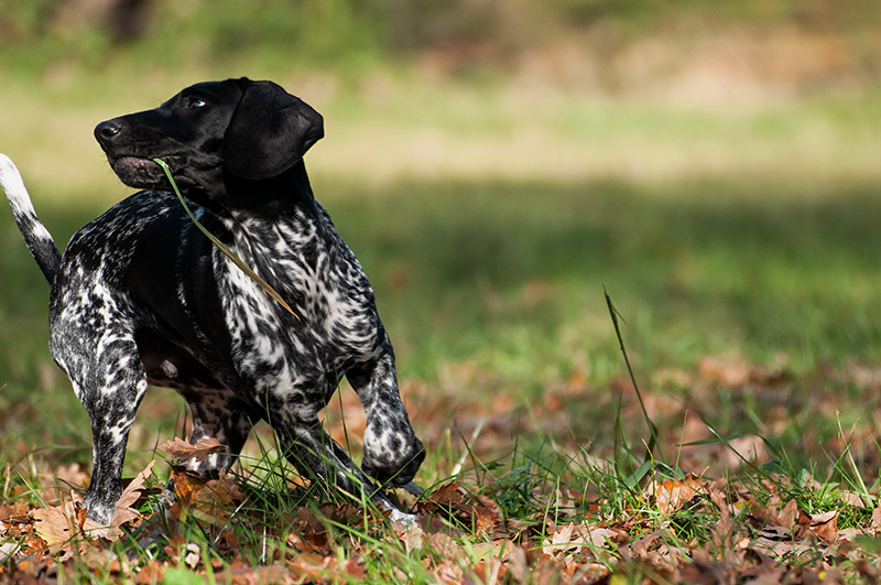 DSC_4858-2.jpg