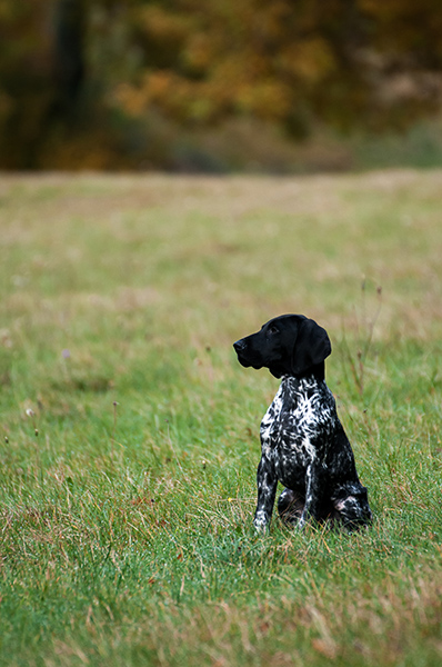DSC_4683-2.jpg