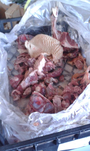IMG-20150118-WA0024.jpeg