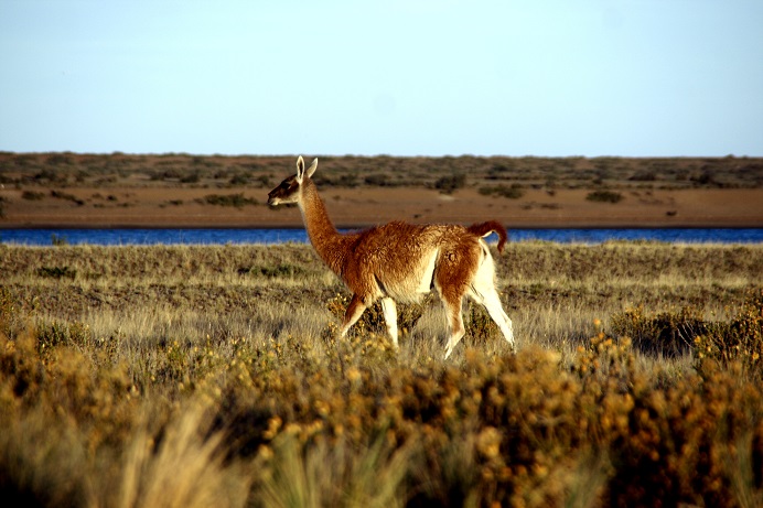 argentina (310).JPG