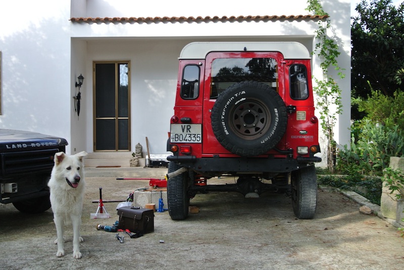 DSC_5645.JPG