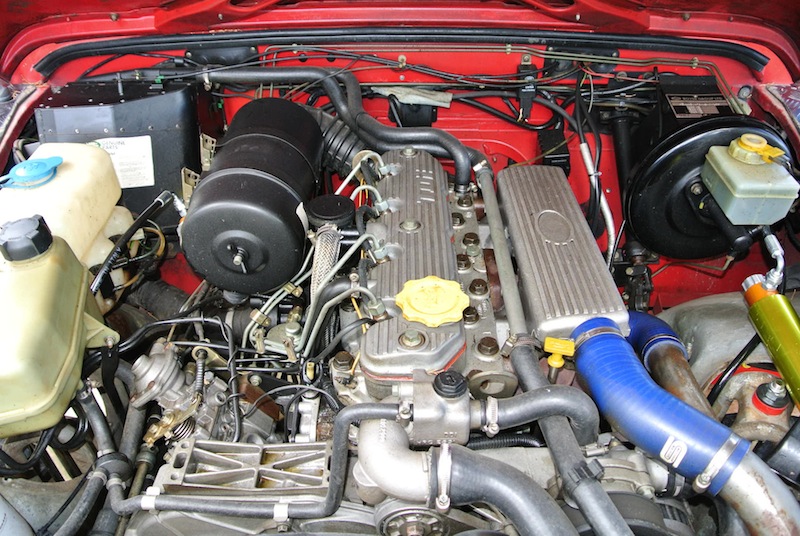 DSC_5675.JPG