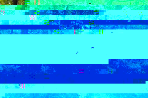 1242654936_2_FT43673_csm_1254_.jpg