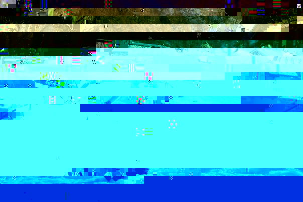 20642_1316277396661_1522506761_30839950_1258302_n.jpg