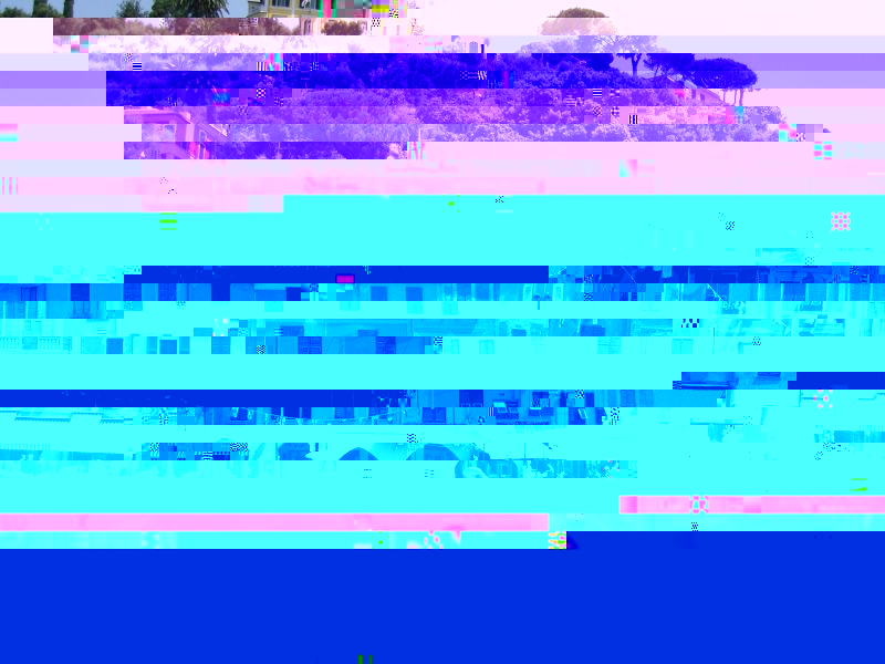 SNC15966.JPG