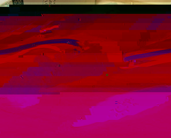devio TD5.jpg