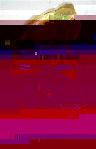 Autoradio 300.jpg